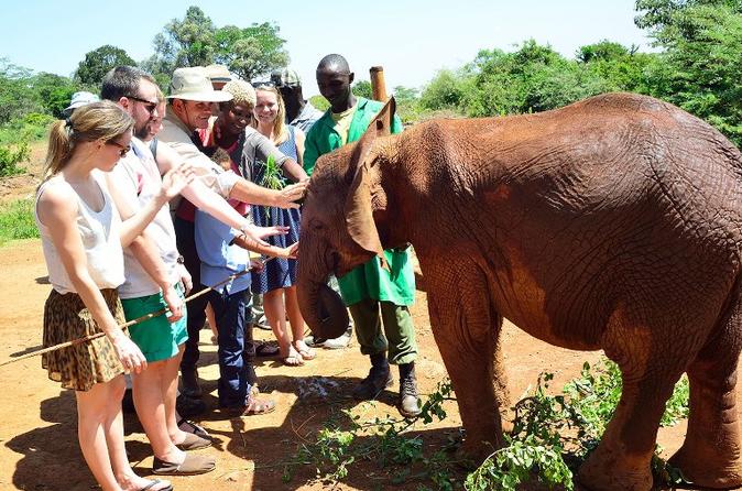 david-sheldrick1