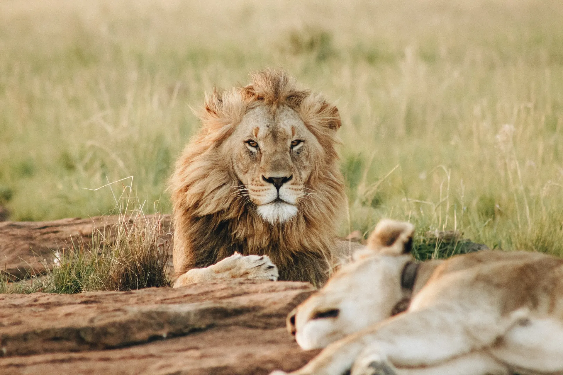 Tsavo West