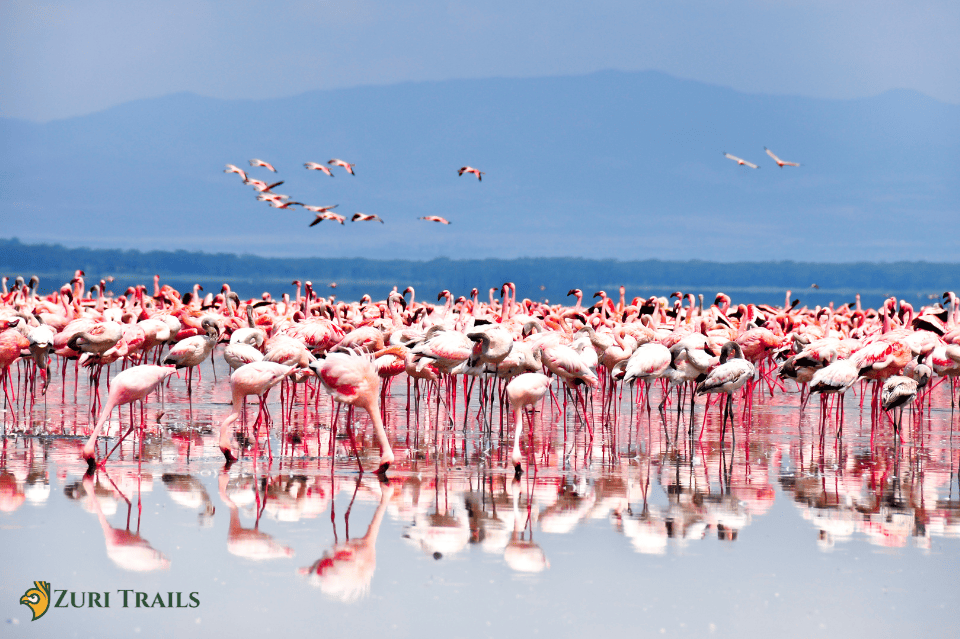 Nakuru