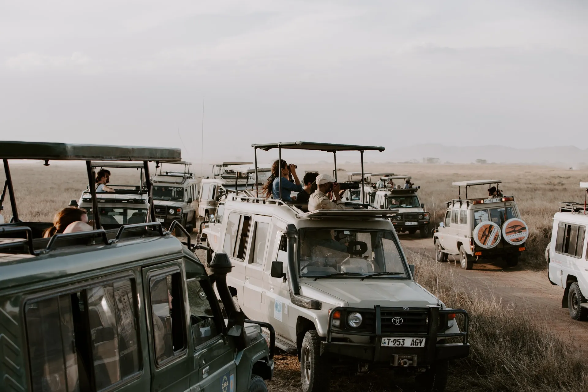 Land Cruisers