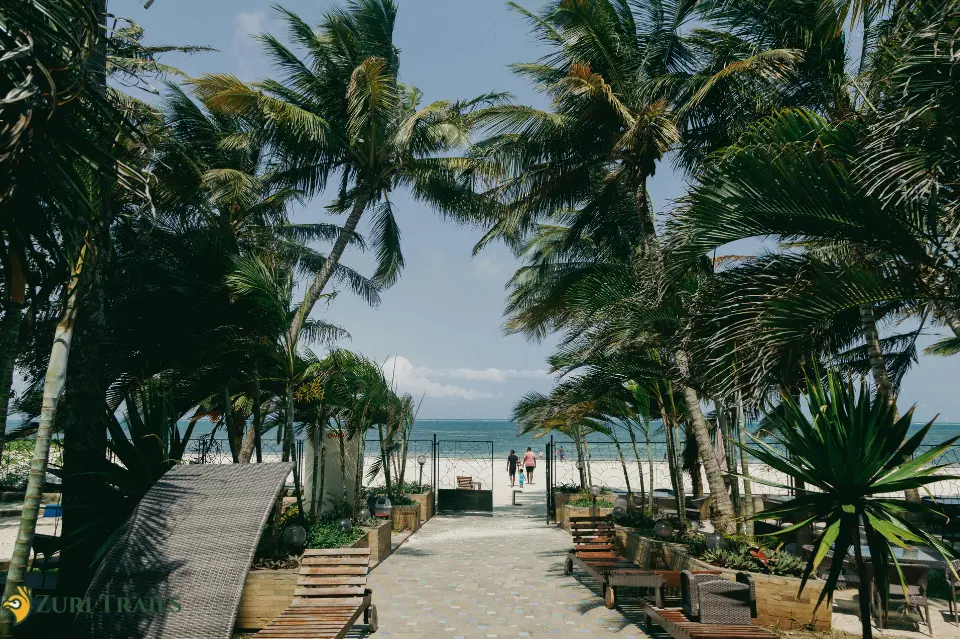 Mombasa tours