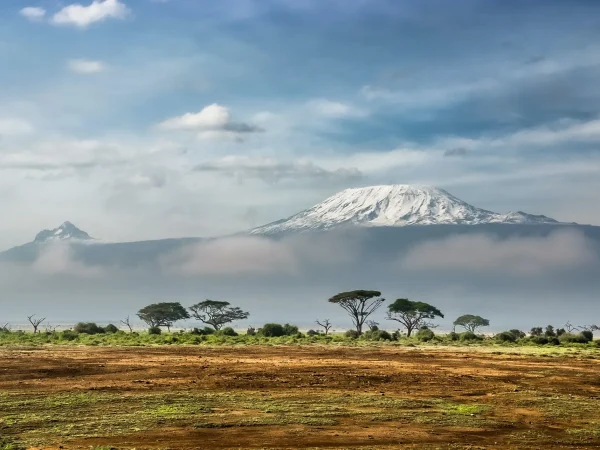 Kilimanjaro Horizon Safari: 6 Days Amboseli, Nakuru, Naivasha, Nairobi Safari