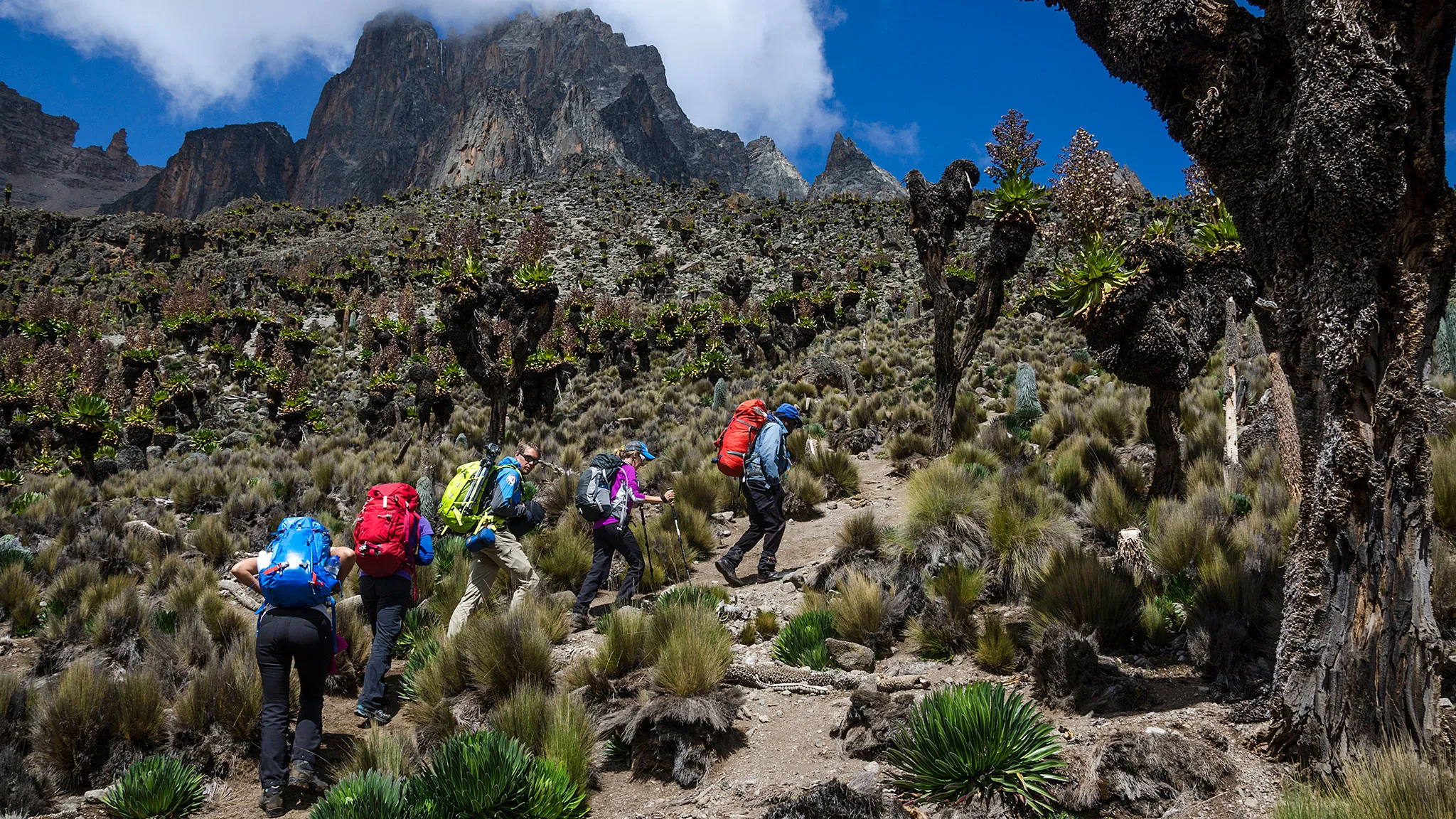 Mt Kenya hikking