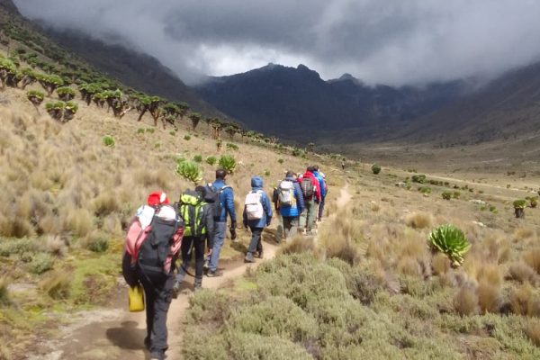 Mount Kenya Climbing 2 Days 1 Night Trekking Trip