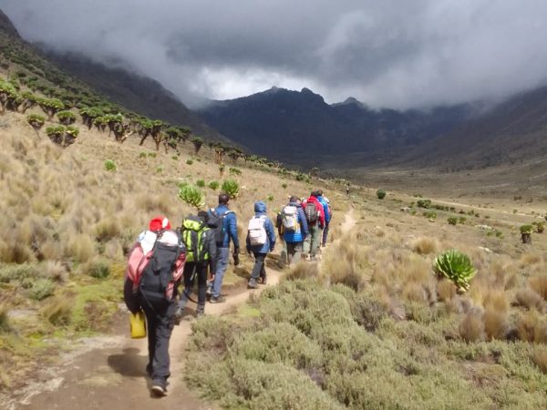 Mount Kenya Climbing 2 Days 1 Night Trekking Trip