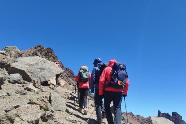 Mount Kenya Climb 1 Day Hike from Nairobi | Naro Moru Route Adventure