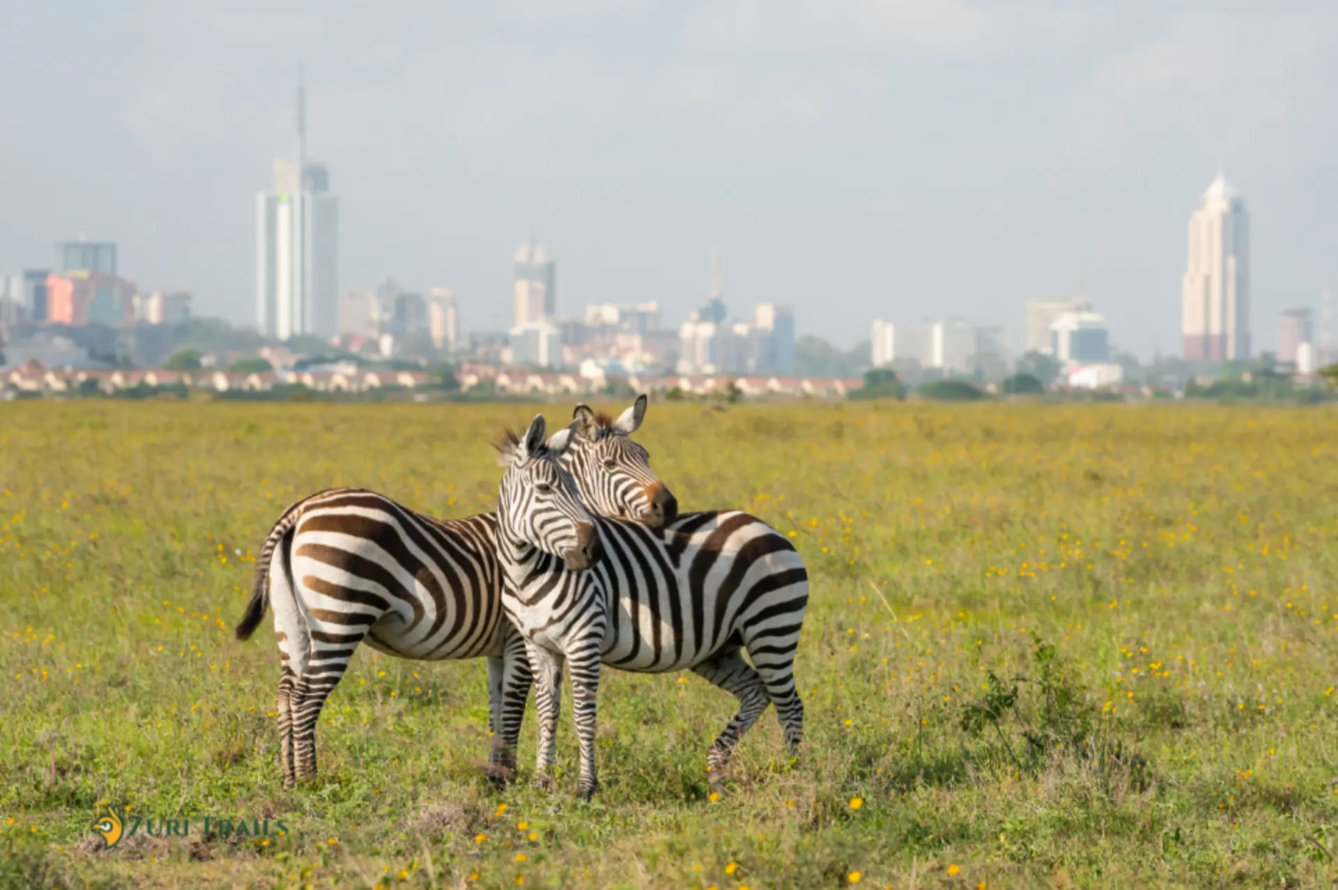 Nairobi